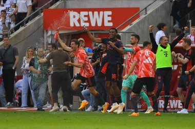COLOGNE, Almanya - 27 Mayıs 2023: Thomas Muller. Bayern Şampiyonları. Bundesliga 1 'in futbol maçı. FC Koeln, FC Bayern Münih 'e karşı. Rhein Enerji Stadyumunda