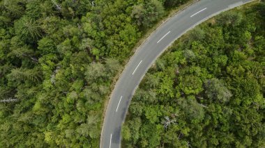 Alp ormanlarının nefes kesici güzelliğini gösteren bir dron tarafından çekilen nefes kesici hava manzarası ve görkemli Alpler 'in arasına yerleştirilmiş dolambaçlı bir yol..