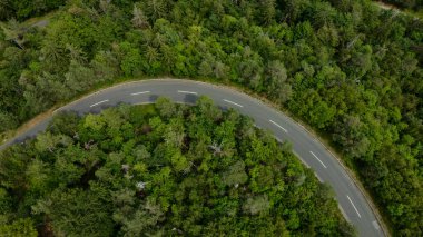 Alp ormanlarının nefes kesici güzelliğini gösteren bir dron tarafından çekilen nefes kesici hava manzarası ve görkemli Alpler 'in arasına yerleştirilmiş dolambaçlı bir yol..