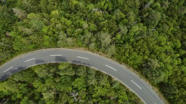 Alp ormanlarının nefes kesici güzelliğini gösteren bir dron tarafından çekilen nefes kesici hava manzarası ve görkemli Alpler 'in arasına yerleştirilmiş dolambaçlı bir yol..