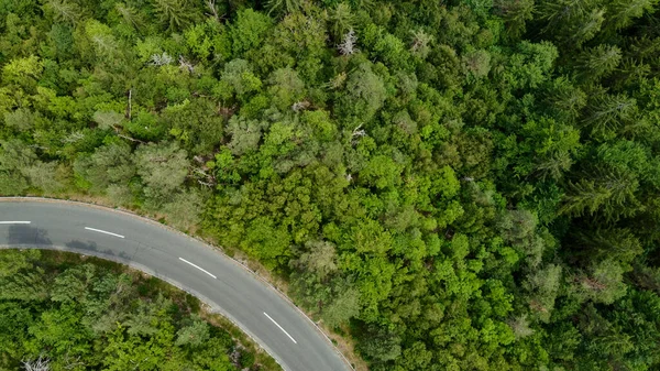 Alp ormanlarının nefes kesici güzelliğini gösteren bir dron tarafından çekilen nefes kesici hava manzarası ve görkemli Alpler 'in arasına yerleştirilmiş dolambaçlı bir yol..