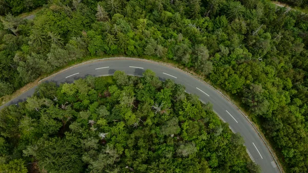 stock image A stunning aerial view captured by a drone showcasing the breathtaking beauty of the Alpine forest and a winding road nestled amidst the majestic Alps.