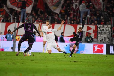 COLOGNE, ALMANY - 24 Kasım 2023: 1 numaralı Bundesliga futbol maçı. FC Koeln, FC Bayern Münih 'e karşı. Rhein Enerji Stadyumunda