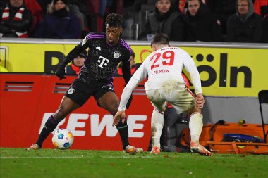 KOLOGNE, GERMANY - 24 Kasım 2023 Kingsley Coman, Bundesliga 1 'in futbol maçı. FC Koeln, FC Bayern Münih 'e karşı. Rhein Enerji Stadyumunda