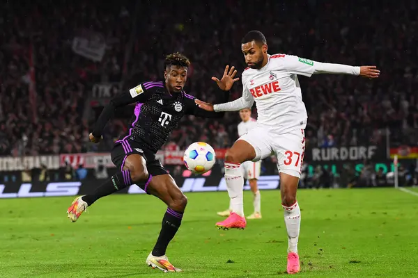 COLOGNE, ALMANY - 24 Kasım 2023 Kingsley Coman, Linton Maina, Bundesliga 1 'in futbol maçı. FC Koeln, FC Bayern Münih 'e karşı. Rhein Enerji Stadyumunda