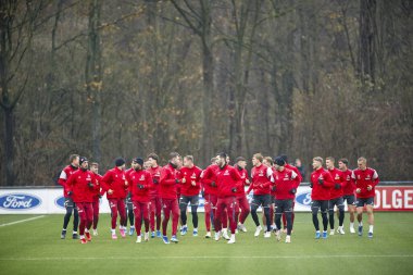 COLOGNE, Almanya - 06.12.23: 1.FC Koeln Uygulaması