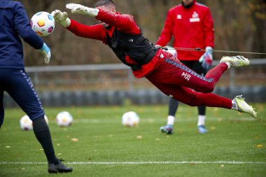 COLOGNE, Almanya - 06.12.23: 1.FC Koeln Uygulaması