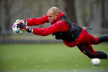 COLOGNE, Almanya - 06.12.23: 1.FC Koeln Uygulaması