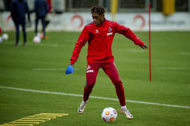 COLOGNE, GERMANY - 2 HAZİRAN, 2024: Geissbockheim 'da 1.FC Koeln Uygulaması 