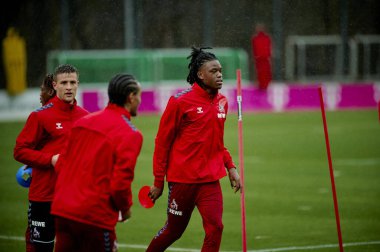 COLOGNE, GERMANY - 2 HAZİRAN, 2024: Geissbockheim 'da 1.FC Koeln Uygulaması 