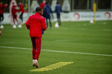 COLOGNE, GERMANY - 2 HAZİRAN, 2024: Geissbockheim 'da 1.FC Koeln Uygulaması 