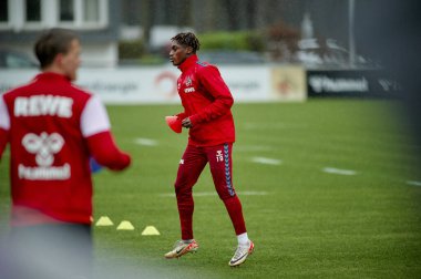 COLOGNE, GERMANY - 2 HAZİRAN, 2024: Geissbockheim 'da 1.FC Koeln Uygulaması 