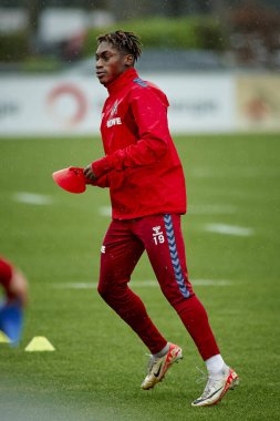 COLOGNE, GERMANY - 2 HAZİRAN, 2024: Geissbockheim 'da 1.FC Koeln Uygulaması 