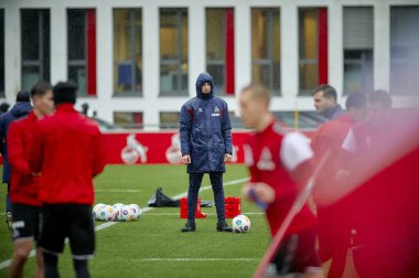 COLOGNE, GERMANY - 2 HAZİRAN, 2024: Geissbockheim 'da 1.FC Koeln Uygulaması 