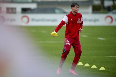 COLOGNE, GERMANY - 2 HAZİRAN, 2024: Geissbockheim 'da 1.FC Koeln Uygulaması 
