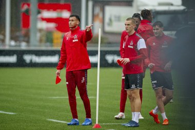 COLOGNE, GERMANY - 2 HAZİRAN, 2024: Geissbockheim 'da 1.FC Koeln Uygulaması 