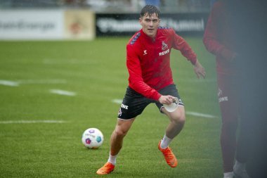 COLOGNE, GERMANY - 2 HAZİRAN, 2024: Geissbockheim 'da 1.FC Koeln Uygulaması 