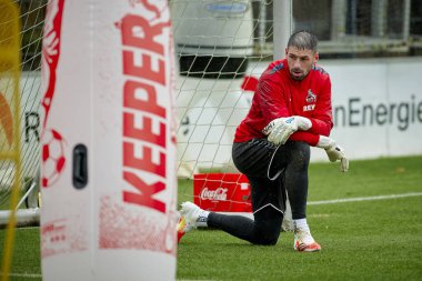 COLOGNE, GERMANY - 2 HAZİRAN, 2024: Geissbockheim 'da 1.FC Koeln Uygulaması 