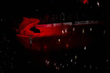 COLOGNE, ALMANY - 5 HAZİRAN, 2024: Penny DEL Koelner Haie 'nin hokey maçı - Lanxess Arena' da Red Bull Muenchen