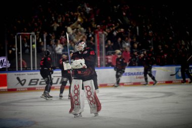 COLOGNE, ALMANY - 5 HAZİRAN, 2024: Tobias Ancicka, Hokey maçı Penny DeL Koelner Haie - Lanxess Arena 'da Red Bull Muenchen