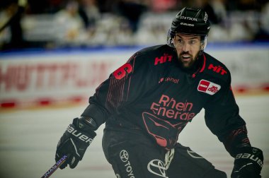 COLOGNE, ALMANY - 5 HAZİRAN, 2024 Jason Bast, Penny DEL Koelner Haie Hokey maçı - Lanxess Arena 'da Red Bull Muenchen