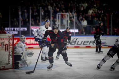 COLOGNE, ALMANY - 5 HAZİRAN, 2024: Louis-Marc Aubry, Penny DEL Koelner Haie Hokey maçı - Lanxess Arena 'da Red Bull Muenchen