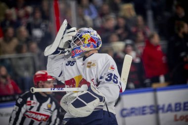 COLOGNE, ALMANY - 5 HAZİRAN, 2024: Mathias Niederberger, Penny DeL Koelner Haie Hokey maçı - Lanxess Arena 'da Red Bull Muenchen