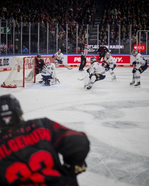 COLOGNE, ALMANY - 5 HAZİRAN, 2024: Mathias Niederberger, Penny DeL Koelner Haie Hokey maçı - Lanxess Arena 'da Red Bull Muenchen