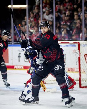 COLOGNE, ALMANY - 2 HAZİRAN, 2024: Penny DEL Koelner Haie 'nin hokey maçı - Lanxess Arena' da Iserlohn Roosters