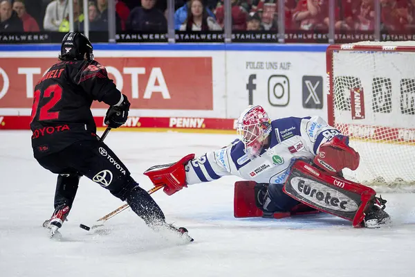 COLOGNE, ALMANY - 2 HAZİRAN, 2024: Penny DEL Koelner Haie 'nin hokey maçı - Lanxess Arena' da Iserlohn Roosters