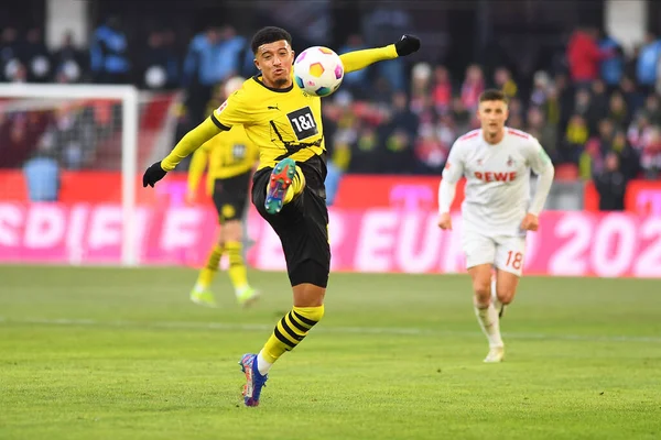 COLOGNE, GERMANY - 20 HAZİRAN, 2024: Jadon Sancho 1.FC Koeln-Borussia Dortmund maçı Rhein Energie Stadion 'da