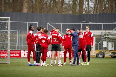 COLOGNE, ALMANY - 24 HAZİRAN, 2024: Timo Schultz, 1. FC Koeln, Geissbockheim 'da.