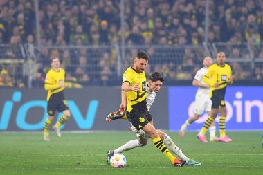 DORTMUND, GERMANY - 28 HAZİRAN, 2024: Signal Iduna Park 'ta Bundesliga Borussia Dortmund Bochum' a karşı futbol maçı