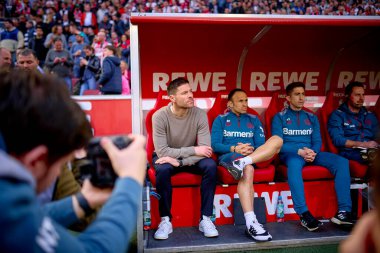 COLOGNE, GERMANY - 3 Mart 2024: Xabi Alonso, Bayer 04 Leverkusen 'in teknik direktörü Bundesliga 1' in futbol maçı sırasında. FC Koeln, Bayer 04 Leverkusen 'e karşı Rhein Enerji Stadyumu' nda