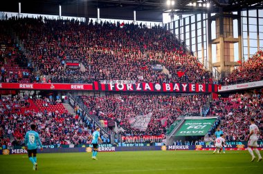 COLOGNE, GERMANY - 3 Mart 2024: Bundesliga 1 'in futbol maçı sırasında Bayer 04 Leverkusen taraftarları. FC Koeln, Bayer 04 Leverkusen 'e karşı Rhein Enerji Stadyumu' nda