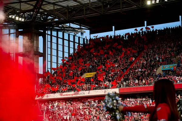 COLOGNE, GERMANY - 3 Mart 2024: Bundesliga 1 'in futbol maçı sırasında Bayer 04 Leverkusen taraftarları. FC Koeln, Bayer 04 Leverkusen 'e karşı Rhein Enerji Stadyumu' nda