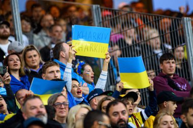 NUREMBERG, GERMANY - 3 Haziran 2024: Max Morlock Stadyumu 'nda Alman-Ukrayna dostluk maçı