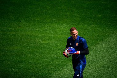 COLOGNE, GERMANY - 15 Haziran 2024: Peter Gulacsi, Rhein Energie Stadion 'da oynanan EURO 2024 futbol maçı