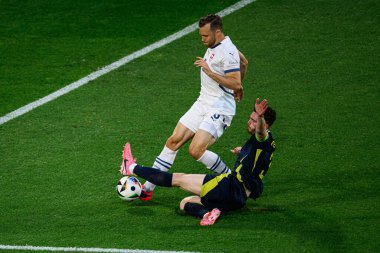 COLOGNE, GERMANY - 19 Haziran 2024: EURO 2024 İskoçya - İsviçre maçı Rhein Enerji Stadyumu 'nda