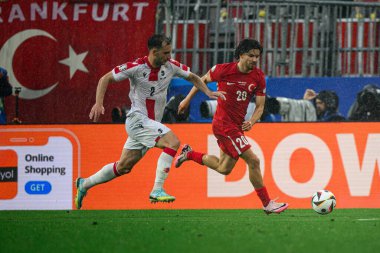 DORTMUND, Almanya - 18 Haziran 2024: EURO 2024 Türkiye - Gürcistan Signal Iduna Par maçı
