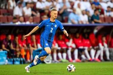 COLOGNE, GERMANY - 25 Haziran 2024: Zan Karnicnik, EURO 2024 İngiltere - Slovenya maçı Köln Stadyumu 'nda