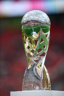 LEVERKUSEN, GERMANY - 17.08.24: The DFB Super Pokal match FC Bayer 04 Leverkusen vs Stuttgart at BayArena