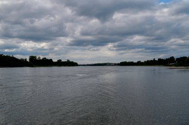 Bonn, Almanya - 16.08.24 Rhein. Almanya 'da nehir 