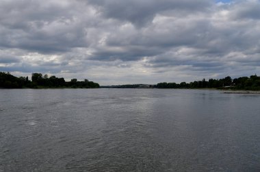 Bonn, Almanya - 16.08.24 Rhein. Almanya 'da nehir 