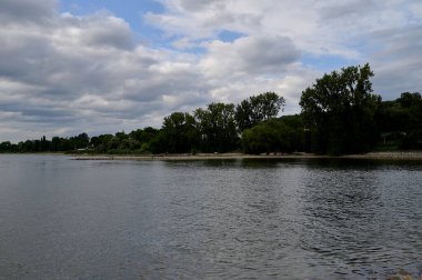 Bonn, Almanya - 16.08.24 Rhein. Almanya 'da nehir 