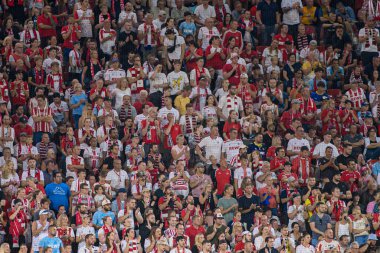 COLOGNE, ALMANY - 24 AĞUSTOS, 2024: 2.Bundesliga 1 futbol maçı. FC Koeln Eintracht Braunschweig 'e karşı Rhein Enerji Stadyumu' nda