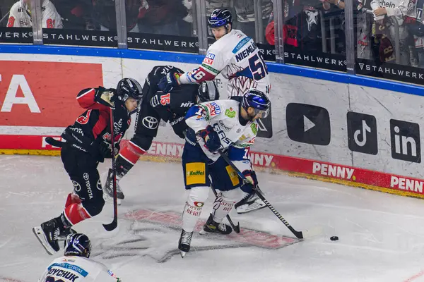 COLOGNE, ALMANY - 20 EPTEMBER, 2024: Hokey play-off DEL Klner Haie - Lanxess Arena 'da Eisbaren Berlin