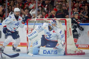 COLOGNE, ALMANY - 22 Eylül 2024: Arno Tiefensee, Lanxess Arena 'da DEL Koelner Haie Adler Mannheim' a karşı