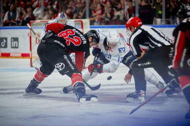 COLOGNE, GERMANY - 22 Eylül 2024 Alexandre Grenier, Lanxess Arena 'da DeL Koelner Haie Adler Mannheim' a karşı