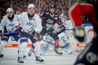 COLOGNE, ALMANY - 22 Eylül 2024: Louis-Marc Aubry, Lanxess Arena 'da DEL Koelner Haie Adler Mannheim' a karşı